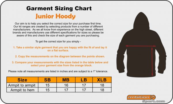 Merlins Bridge FC Sport Hoody Junior