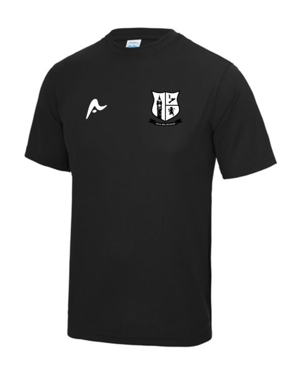 YSGOL BRO HYDDGEN KS4 TSHIRT