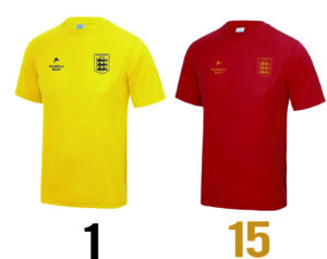Faversham Town FC Away Shirt