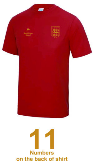 FAVERSHAM TOWN FC AWAY SHIRT