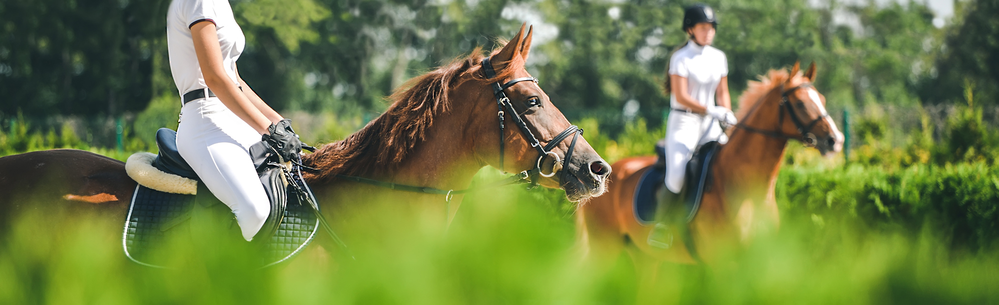 horse riding