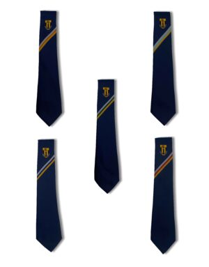 SRMS House Tie