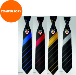 Hartsdown Academy House Tie